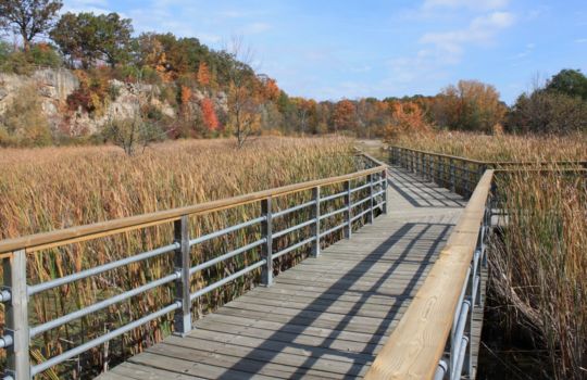 Screenshot 2017-09-10 02.50.14