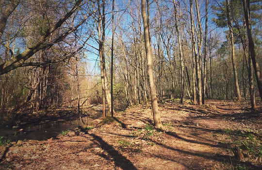 Sherwood-Forest-Park-by-Sheldon-Creek-in-Burlington