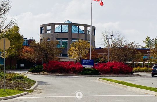 TansleyBurlingtonOntariocopyright2019JenWarren01