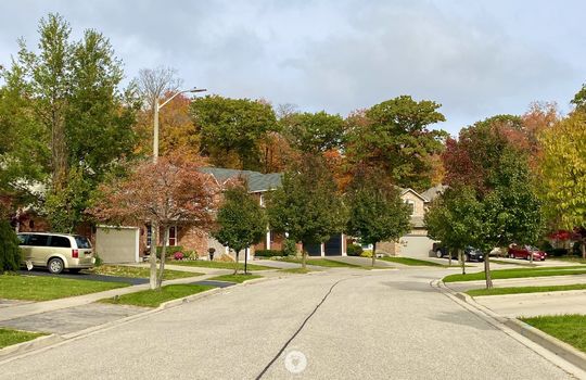 TansleyBurlingtonOntariocopyright2019JenWarren10