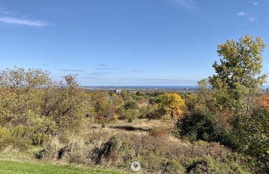 TyandagaBurlingtonOntariocopyright2019JenWarren07