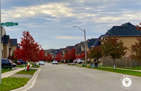 altonBurlingtonOntario-copyright-JenWarren06