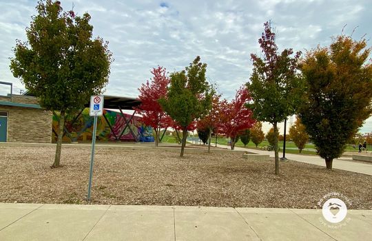 altonBurlingtonOntario-copyright-JenWarren15