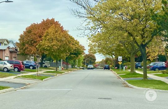 branthillsBurlingtonOntario-copyright-JenWarren06