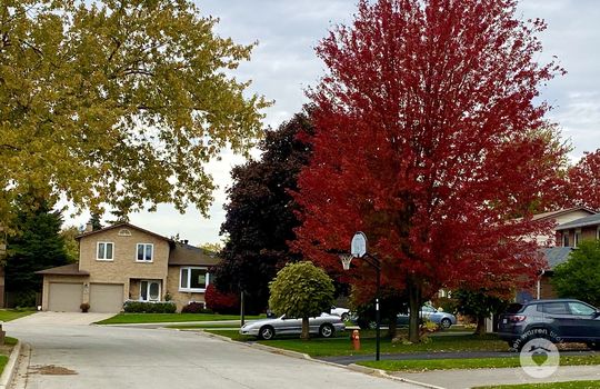 branthillsBurlingtonOntario-copyright-JenWarren07