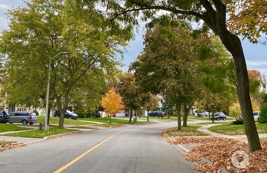 branthillsBurlingtonOntario-copyright-JenWarren12