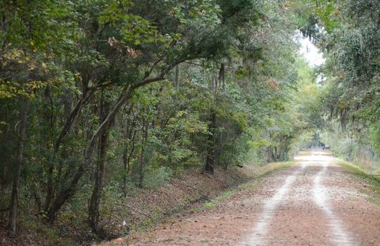 greenway-958161_1280-1080×675