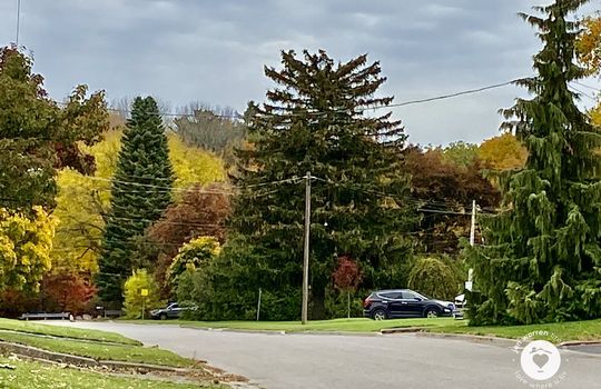 mountainsideBurlingtonOntario-copyright-JenWarren02