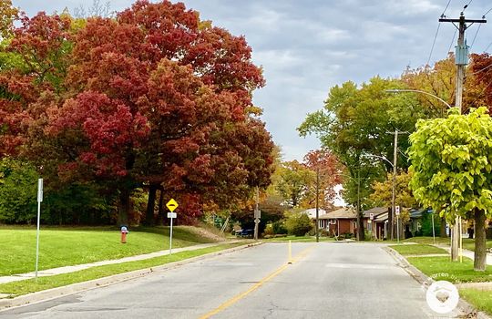 mountainsideBurlingtonOntario-copyright-JenWarren07