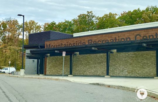 mountainsideBurlingtonOntario-copyright-JenWarren08