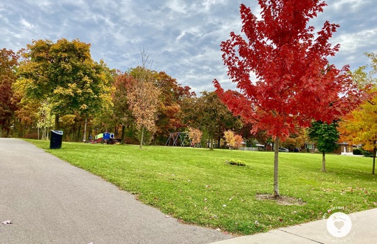 mountainsideBurlingtonOntario-copyright-JenWarren11