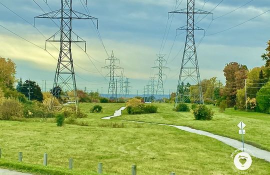 mountainsideBurlingtonOntario-copyright-JenWarren13