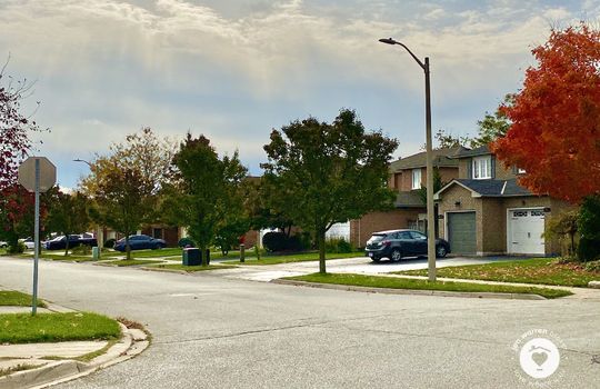 pinedaleBurlingtonOntario-copyright-JenWarren01