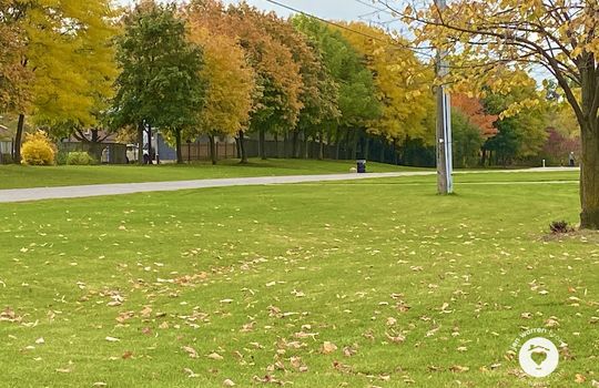 pinedaleBurlingtonOntario-copyright-JenWarren05