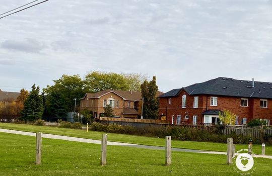 pinedaleBurlingtonOntario-copyright-JenWarren06