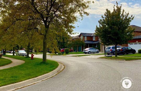 pinedaleBurlingtonOntario-copyright-JenWarren07