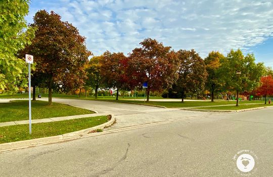 pinedaleBurlingtonOntario-copyright-JenWarren11