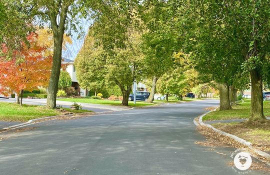 pinedaleBurlingtonOntario-copyright-JenWarren14