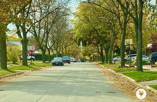 pinedaleBurlingtonOntario-copyright-JenWarren18