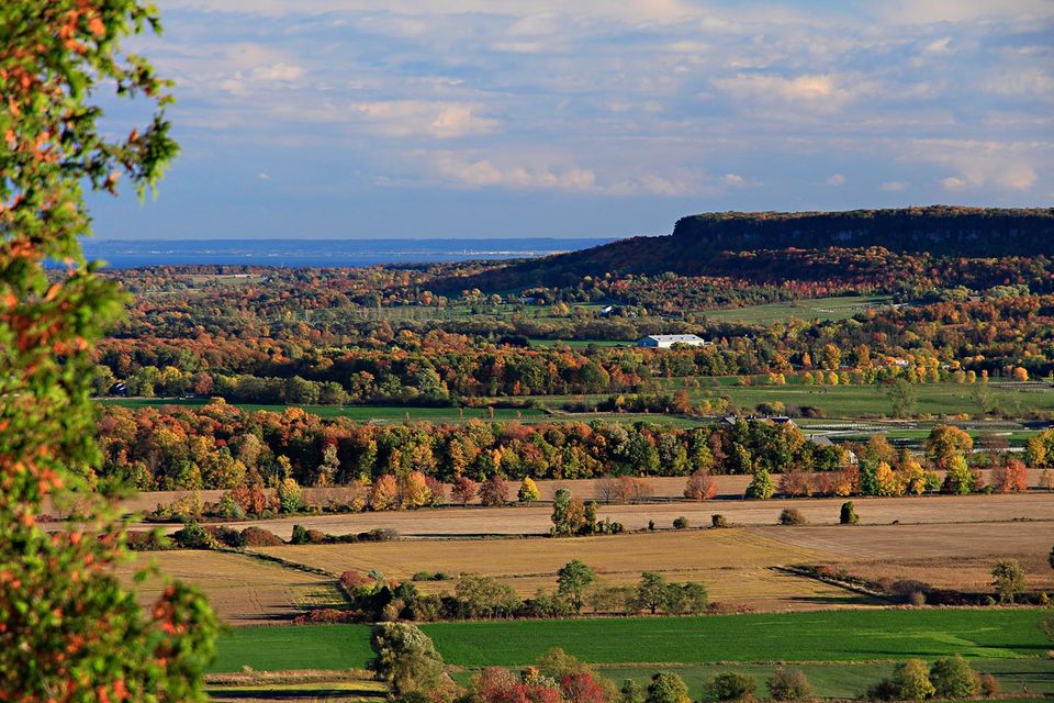 🏡 EXPLORE RURAL BURLINGTON REAL ESTATE WITH A LOCAL EXPERT! 🌿