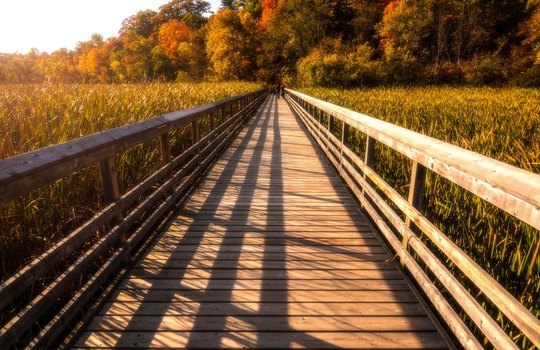 HendrieValleyBoardwalk_20