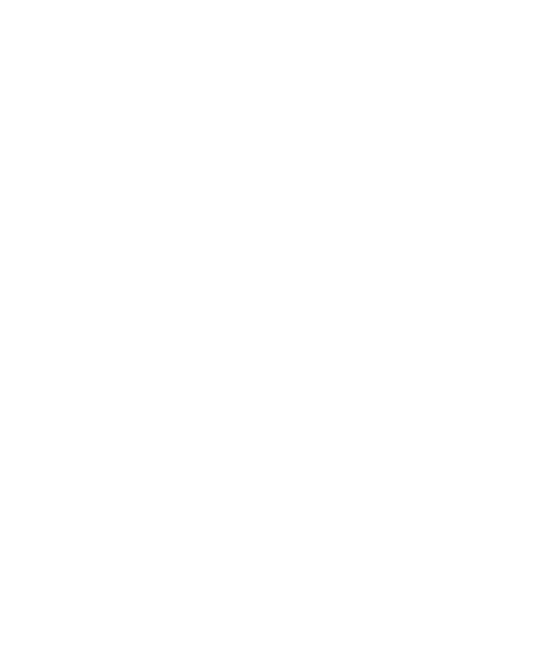 What you’ll get from a Pricing + Launch Plan