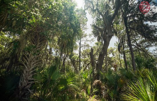 061022 &#8211; Daufuskie Lot &#8211; LOW RES-17