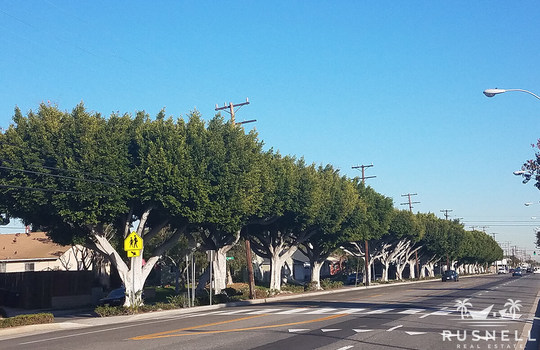 Bodger-Park-Real-Estate-3