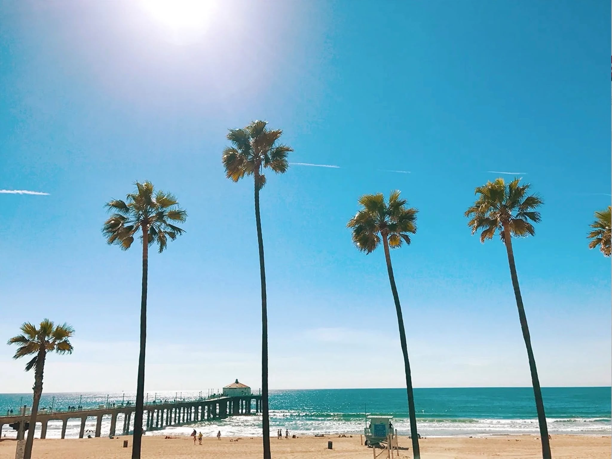 Manhattan Beach and Palm Trees