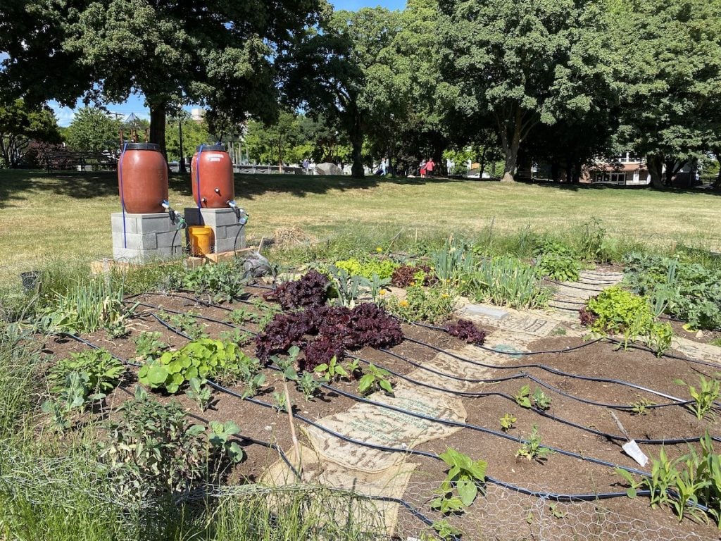 The layout of the Cal Anderson Park Garden includes two rain barrels