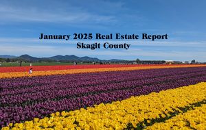 The January 2025 Real Estate Report for Skagit County (photo of the Tulip Festival)
