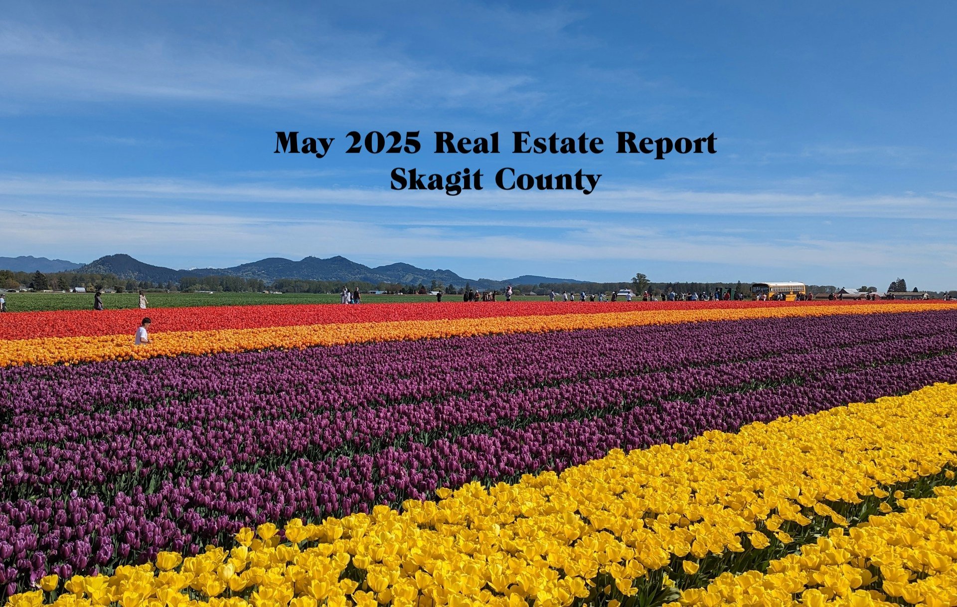 Skagit-County-Tulip-Festival-by-Atharva-patil May 2025