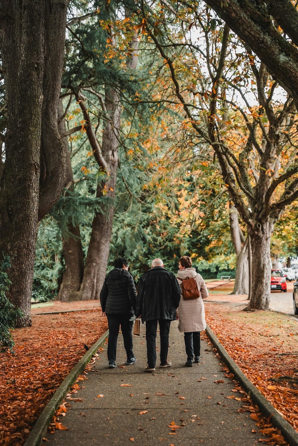 Arboretum-in-Fall-by-Josh-Hild