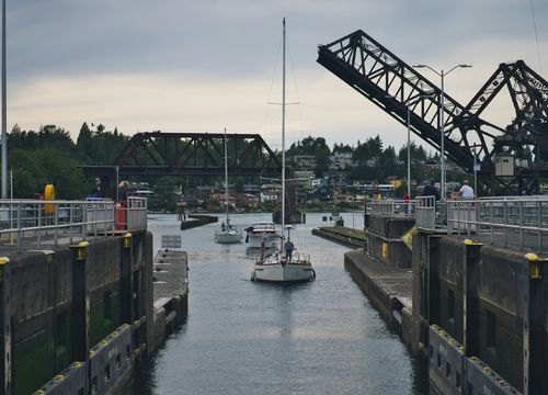 Boats come into the Ballard Locks