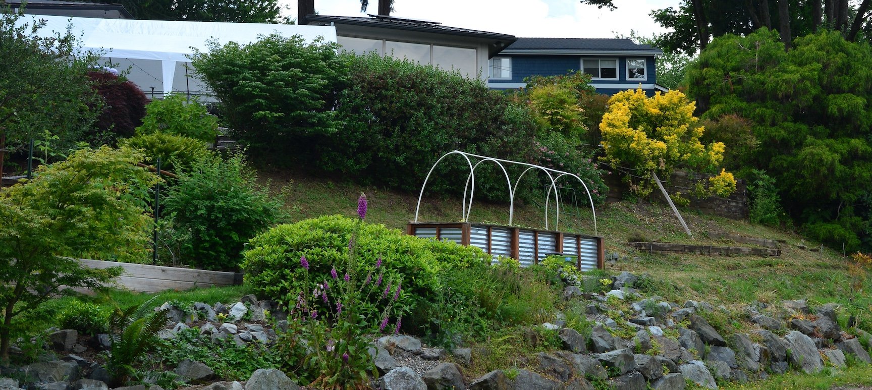 Hill garden in Lake Forest Park