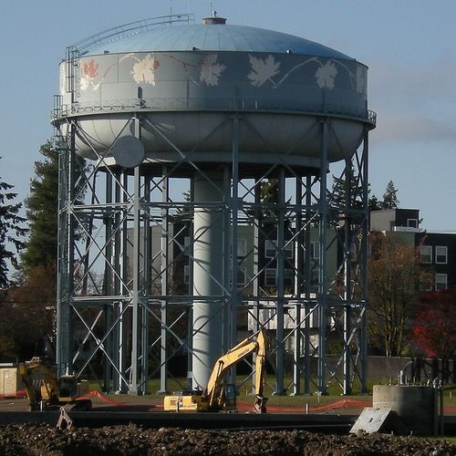 Discovering Maple Leaf: The Quiet, Character-Rich Heart of North Seattle