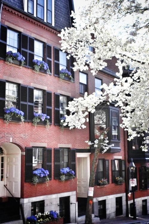 Beacon Hill: A Boston neighborhood guide