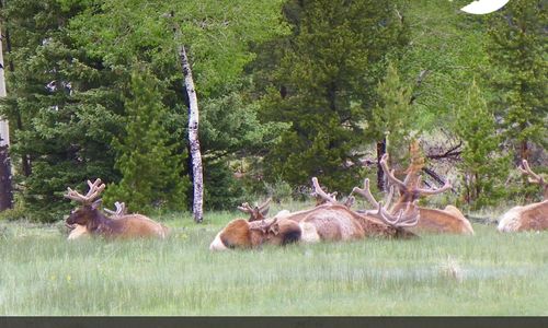 What Does It Mean To Live The Estes …