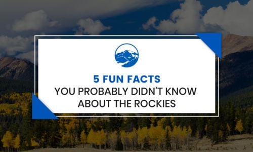 5 Fun Facts You Probably Didn't Know About …