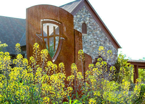 wake forest