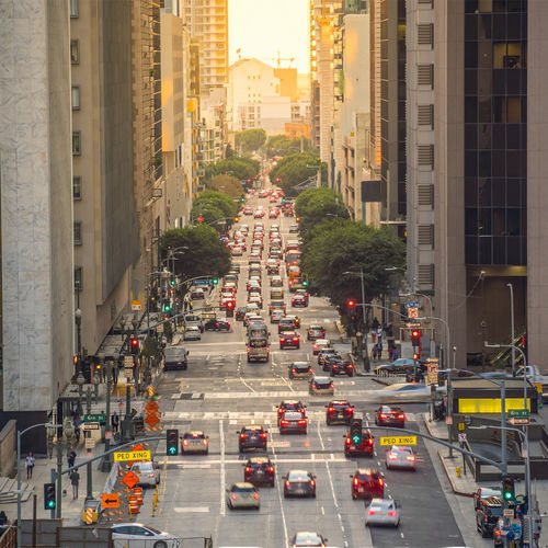 Getting Around LA: The Best Transportation Options