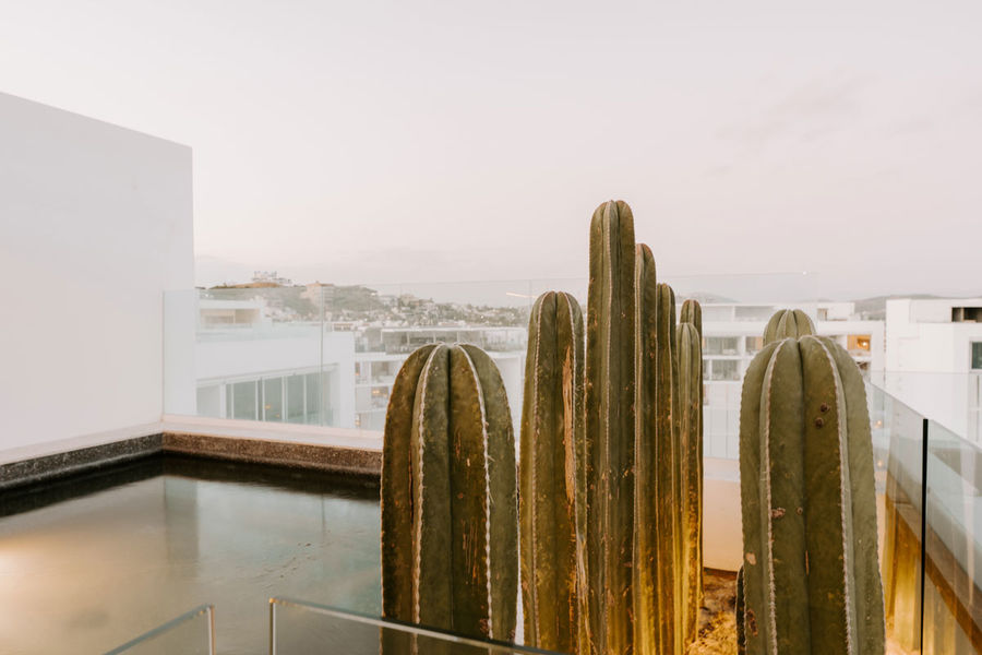 Viceroy-Los-Cabos-30
