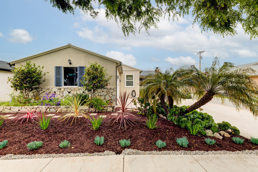 14115 Judah-40