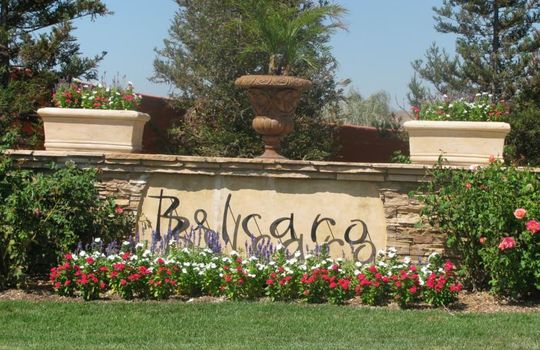 Belcaro