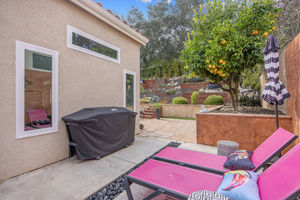 133 Concerto Dr Oak Park CA-print-046-018-B1A6554-3000x2001-300dpi