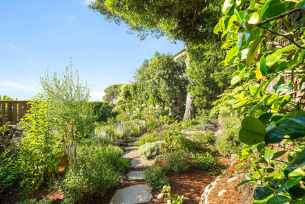 174-San-Carlos-Ave-Grounds-2