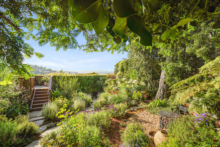 174-San-Carlos-Ave-Grounds-3