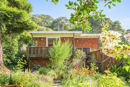 174-San-Carlos-Ave-Grounds-4