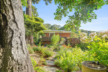 174-San-Carlos-Ave-Grounds-5