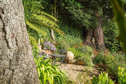 174-San-Carlos-Ave-Grounds-6